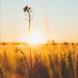 Meet your Posher, Hy